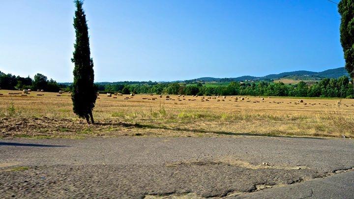 Appartamento Old England In Chianti Montespertoli Exterior foto